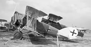 Thought Prints: Tallman-Pfalz D. XII N43C