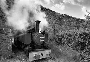 The Talyllyn Narrow Guage Railway North Wales