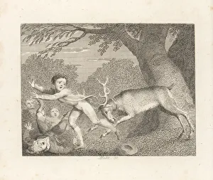 John Stockdale Prints: The Tame Stag