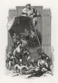 Taming of the Shrew