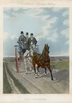 Tandem Carriage