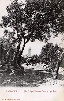 Tangier, Morocco - The Lighthouse viewed from a garden