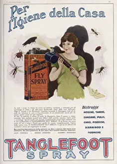 TANGLEFOOT INSECT SPRAY