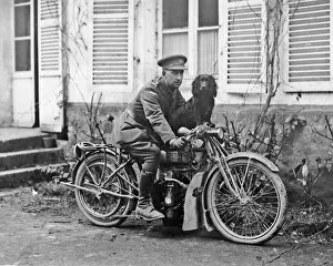 Clever Collection: Tank Corps mascot on motorcycle, Western Front, WW1