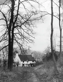Surrey Collection: Tanners Hatch Hostel