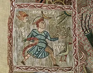 Tapestry of Creation