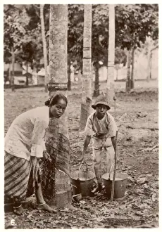 Tapping Prints: Tapping Rubber Trees
