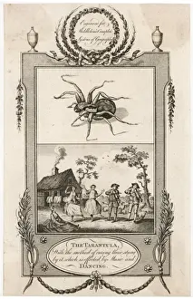 Curing Prints: Tarantella (18th Cent. )