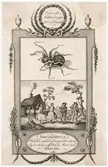 Curing Prints: Tarantula