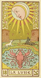 Crab Collection: Tarot Card 18 - La Lune (The Moon)