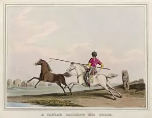 Tartar and Horse
