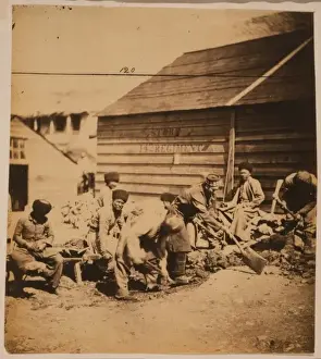 Tartar Prints: Tartar labourers