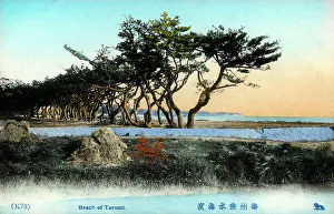 Hyogo Prints: Tarumi Beach, Kobe, Japan