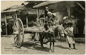 Tashkent, Uzbekistan - Local Man with Traditional Arba Cart