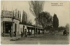 Tree Lined Collection: Tashkent, Uzbekistan - Street Scene