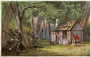 Aborigines Gallery: Tasmanian aborigines attacking a settlers hut