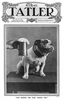 Bulldog Collection: Tatler cover - Britain abstains from drinking, WW1