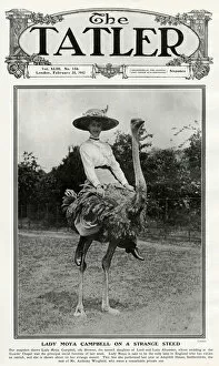 Images Dated 7th April 2017: Tatler cover - Lady Moya Campbell on an ostrich