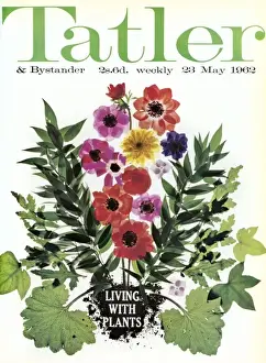 Tatler front cover - May 1962