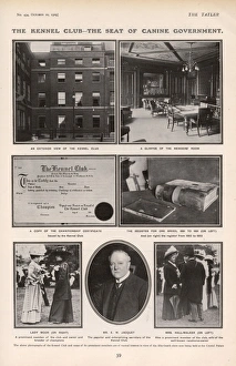 Images Dated 4th July 2017: The Tatler: The Kennel Club - the seat of canine government