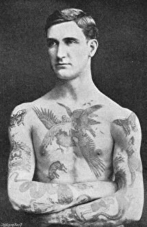 1897 Collection: Tattooed masterpiece by Mr. Sutherland Macdonald of Jermyn S
