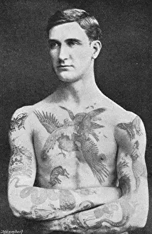 Toilet Prints: Tattooed masterpiece by Mr. Sutherland Macdonald of Jermyn S