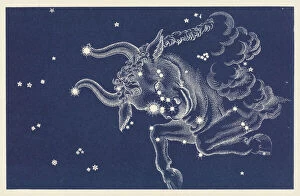 Constellation Gallery: Taurus
