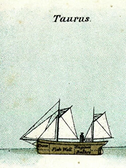 Boilers Collection: Taurus, fishing boat