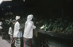Tawai The Fruit Stall and Back Streets Aden April