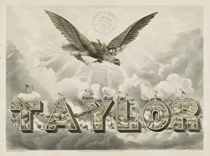 Taylor