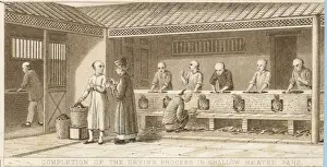 Heated Prints: Tea Cultivation