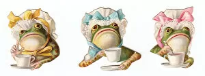 Images Dated 2nd November 2015: Tea-drinking frogs on three Victorian scraps