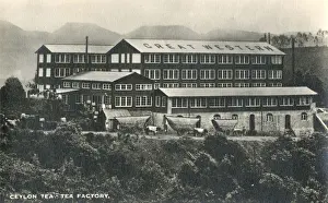 Tea Factory - Sri Lanka