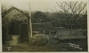 Tea Gardens
