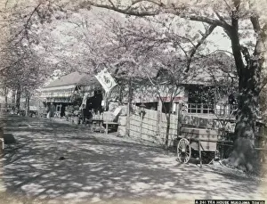 Tokio Prints: Tea house, Mukojima, Tokio