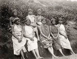 Tea plantation workers, Ceylon, Sri Lanka