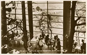 Tea in the Treetops, Empire Exhibition, Glasgow, Scotland