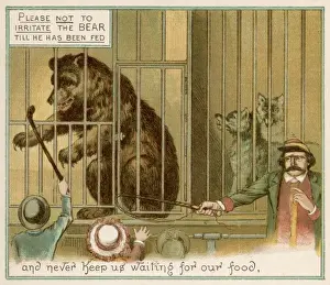 Teasing the Bear