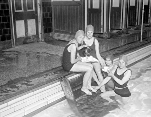 Teatime Collection: Teatime in the Pool
