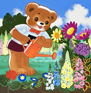 Teddy Bear