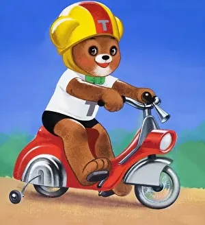 Teddy Bear