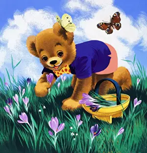 Teddy Bear