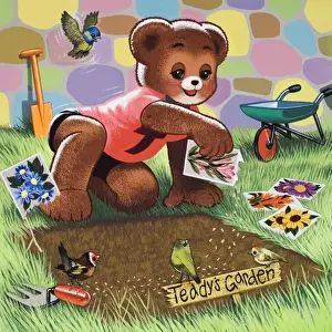 Teddy Bear
