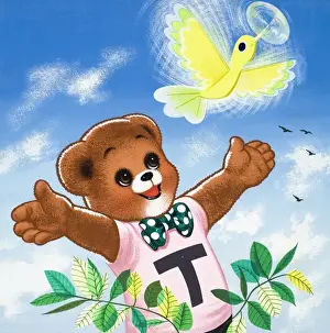 Teddy Bear