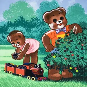 Teddy Bear