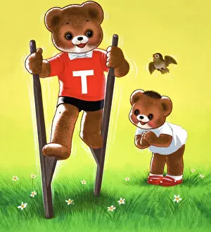 Teddy Bear