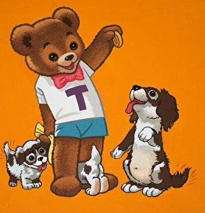 Teasing the Bear