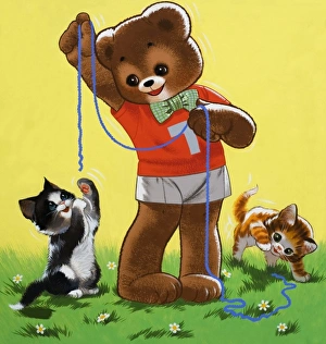 Images Dated 4th September 2006: Teddy Bear