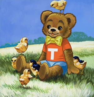 Images Dated 4th September 2006: Teddy Bear