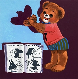 Images Dated 4th September 2006: Teddy Bear